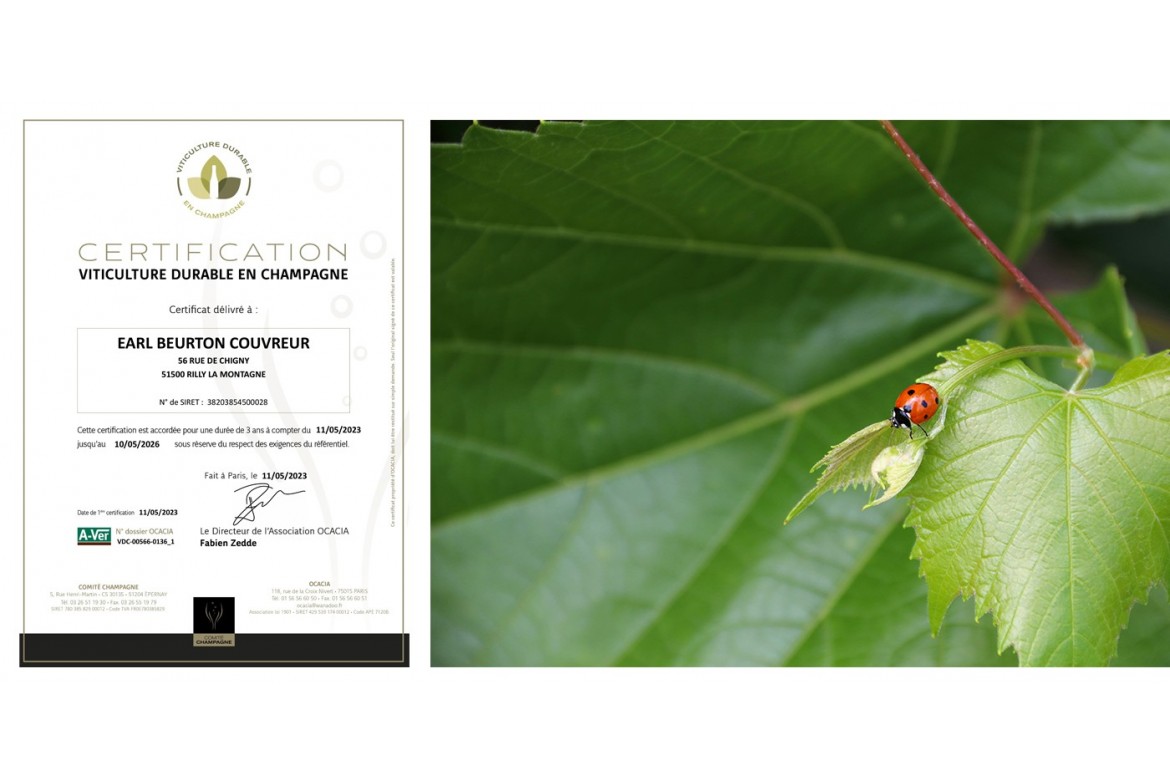 Certification écologique (VDC)